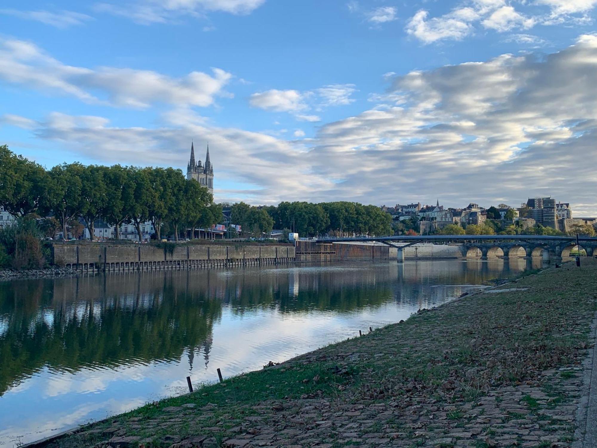 Appartement Avec Jacuzzi Sauna & Home Cinema - Nid D'Angers Esterno foto