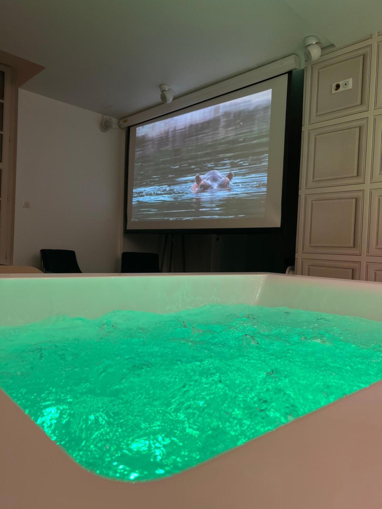Appartement Avec Jacuzzi Sauna & Home Cinema - Nid D'Angers Esterno foto