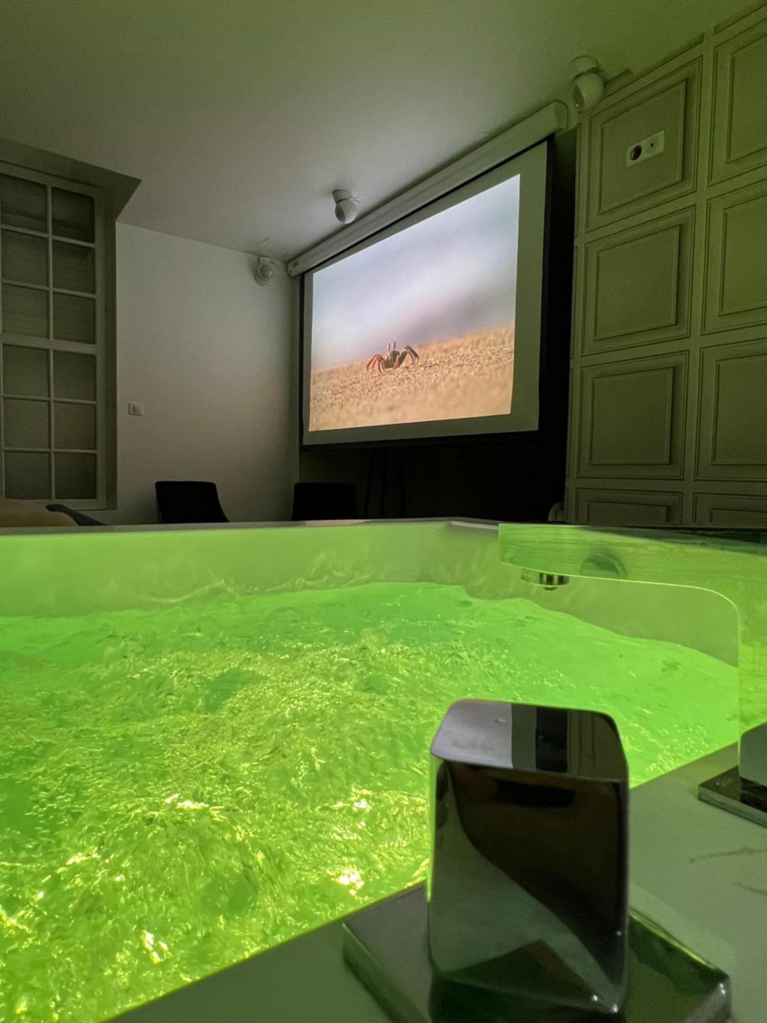 Appartement Avec Jacuzzi Sauna & Home Cinema - Nid D'Angers Esterno foto